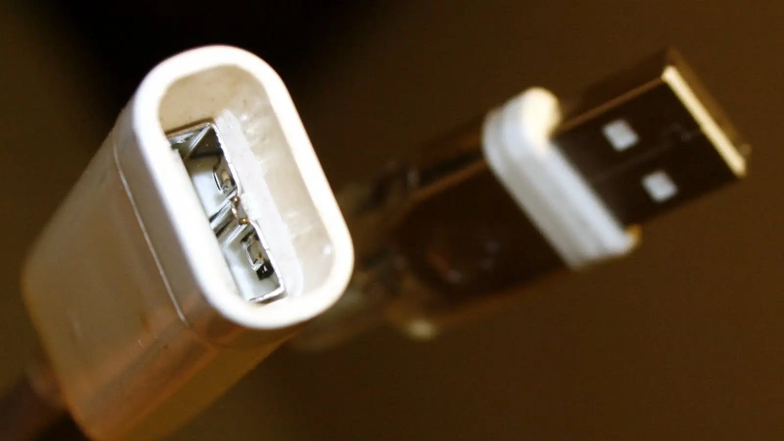 Close-up of a USB cable connector with metal contacts, white plastic housing and translucent cable jacket